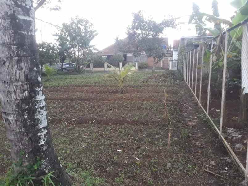 dijual rumah bumi grecol damai jalan