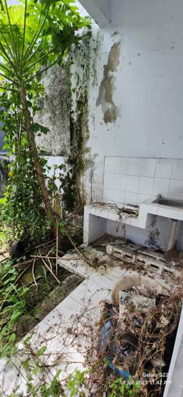 dijual rumah ciaomas bogor nuansa asri