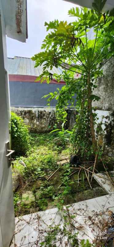 dijual rumah ciaomas bogor nuansa asri