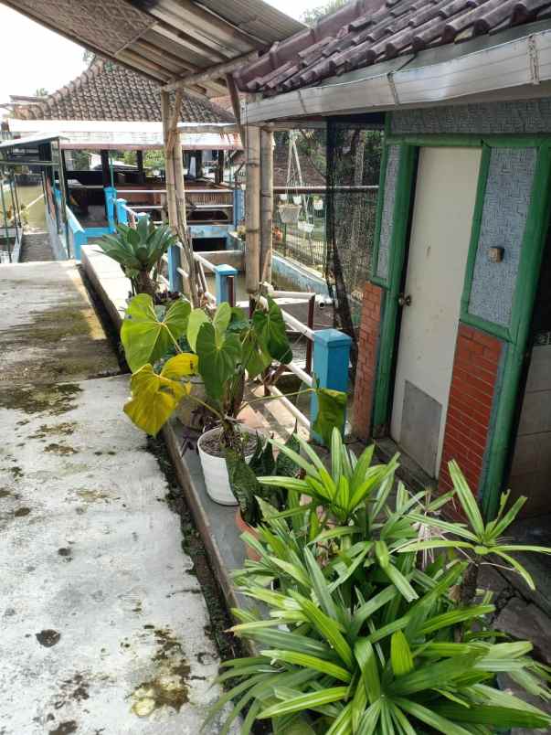 dijual rumah cikeruh jatinangor sumedang