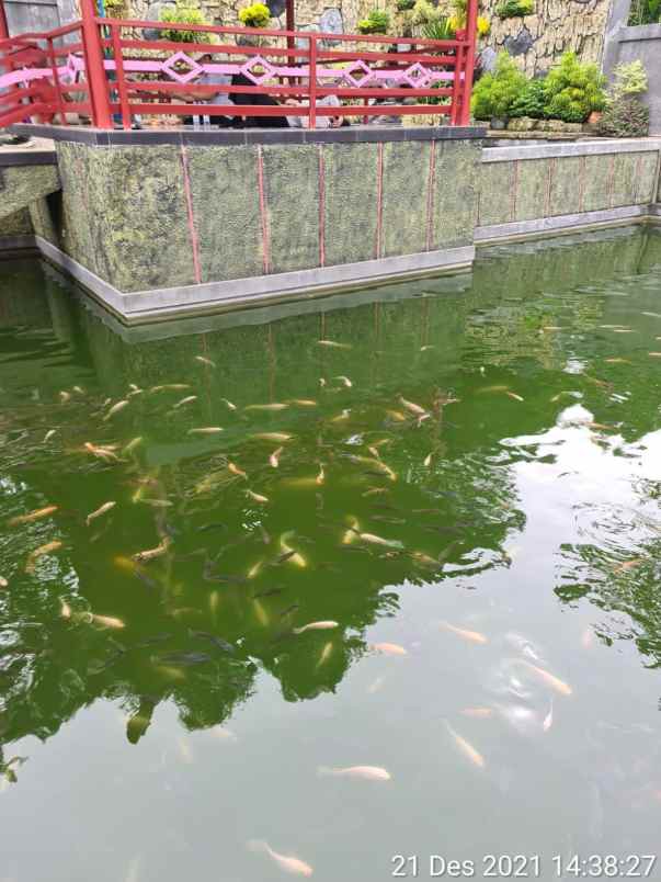 dijual rumah dan kolam ikan di kaduela kuningan