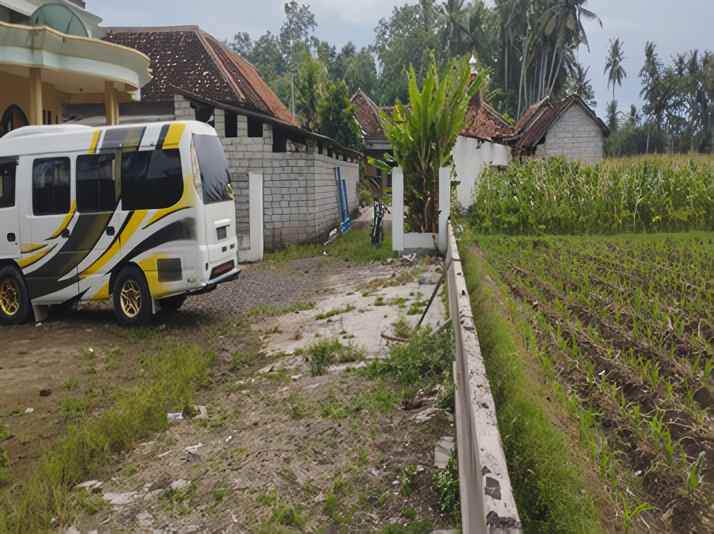 dijual rumah desa kelurahan bagorejo