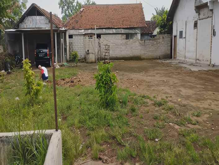 dijual rumah desa kelurahan bagorejo