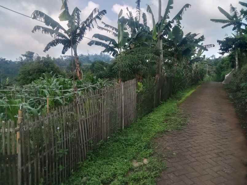 dijual rumah jabung malang