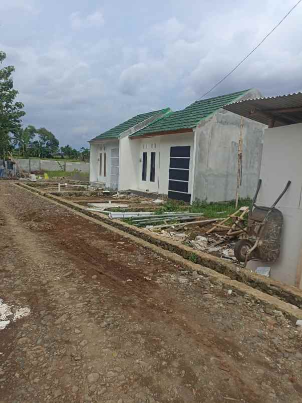 dijual rumah karangjambe padamara