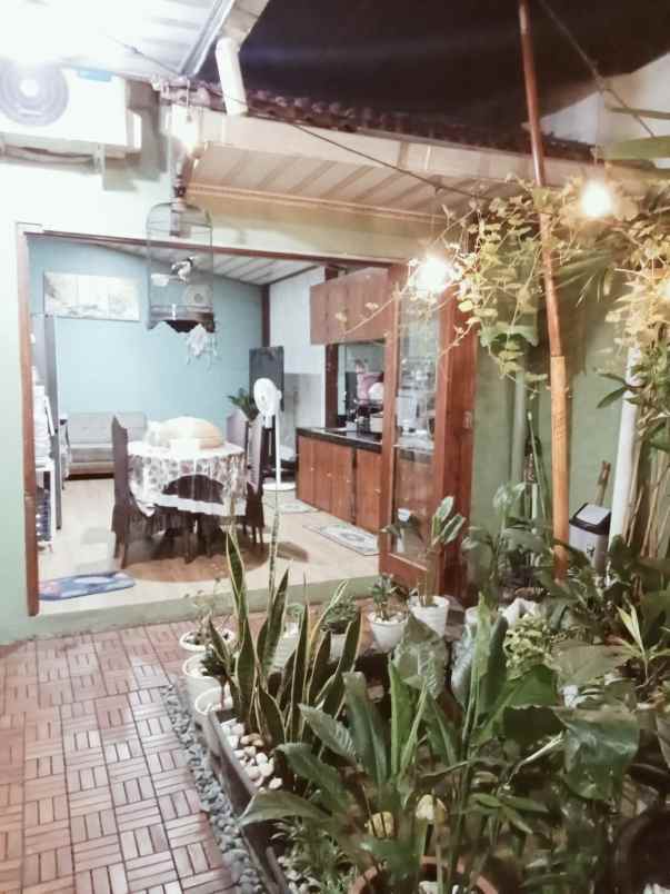 dijual rumah orchid green park pasir putih