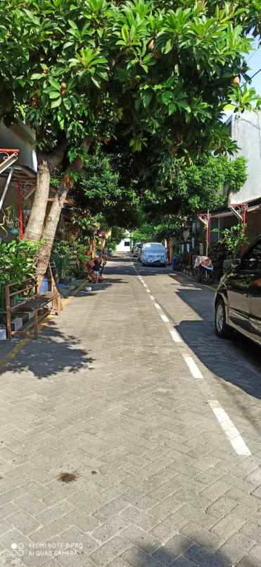 dijual rumah pasadena semarang barat