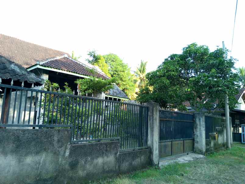 dijual rumah strategis di banyuwangi kota