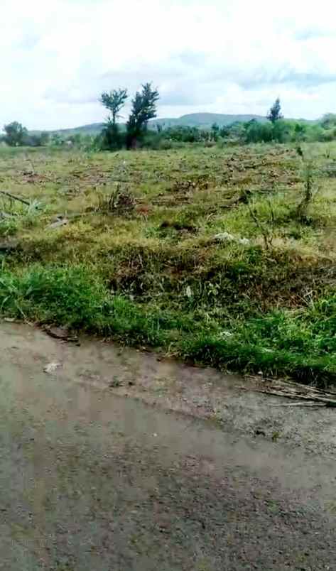 dijual tanah 50 hektar di kabupaten bogor