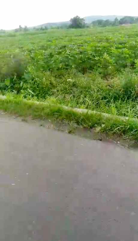 dijual tanah 50 hektar di kabupaten bogor