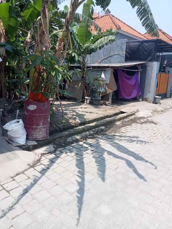 dijual tanah antasura denpasar utara