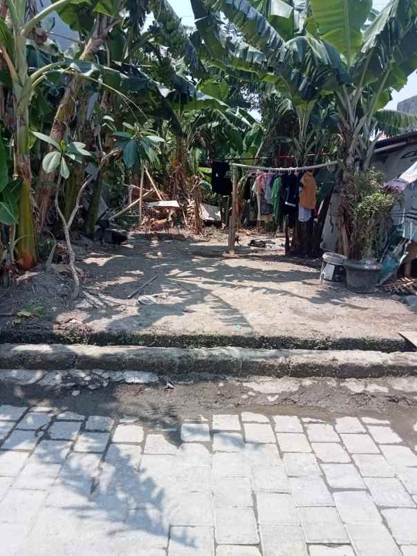 dijual tanah antasura denpasar utara