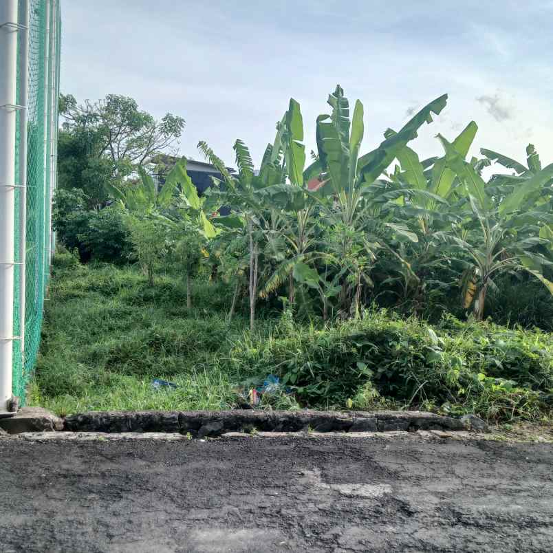 dijual tanah badak agung