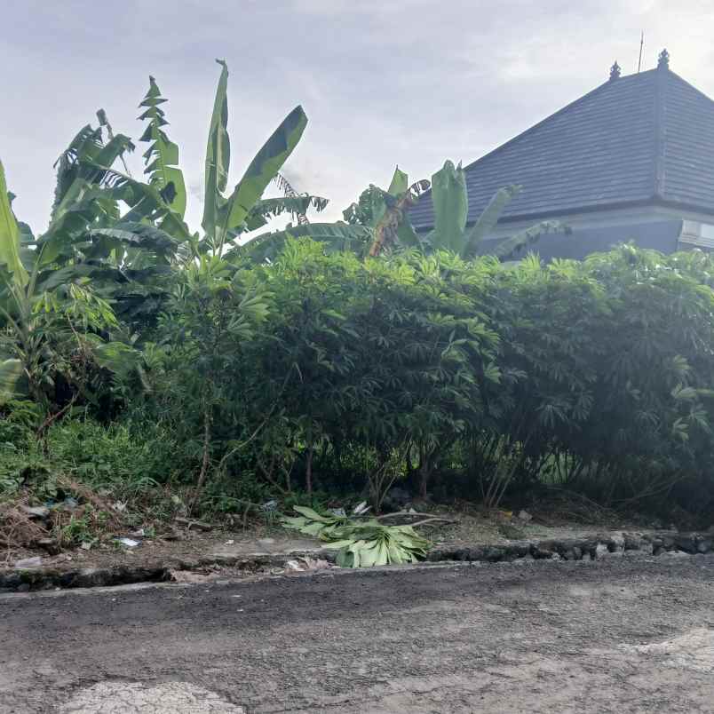 dijual tanah badak agung