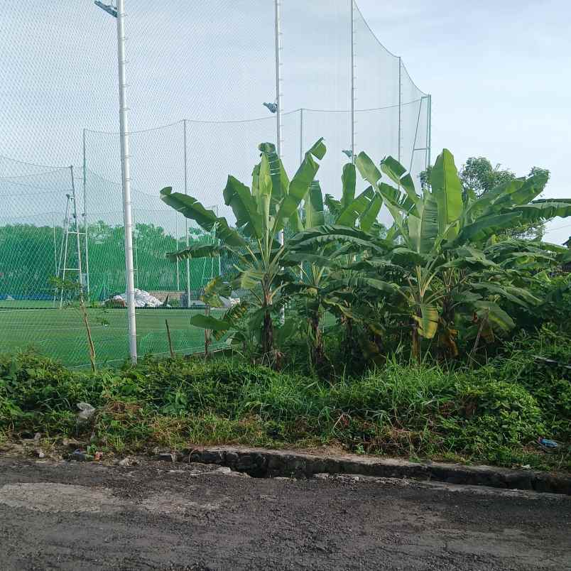 dijual tanah badak agung