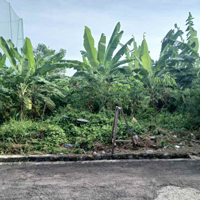 dijual tanah badak agung