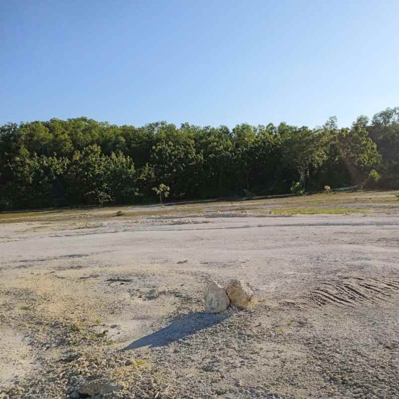 dijual tanah badak agung