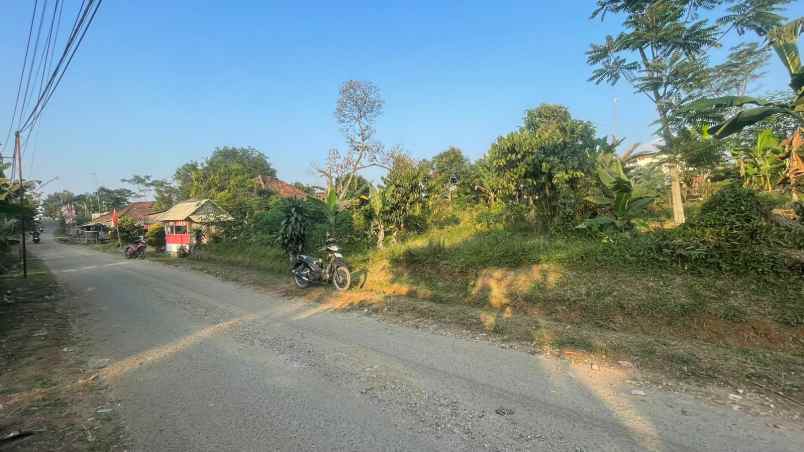 dijual tanah bojong