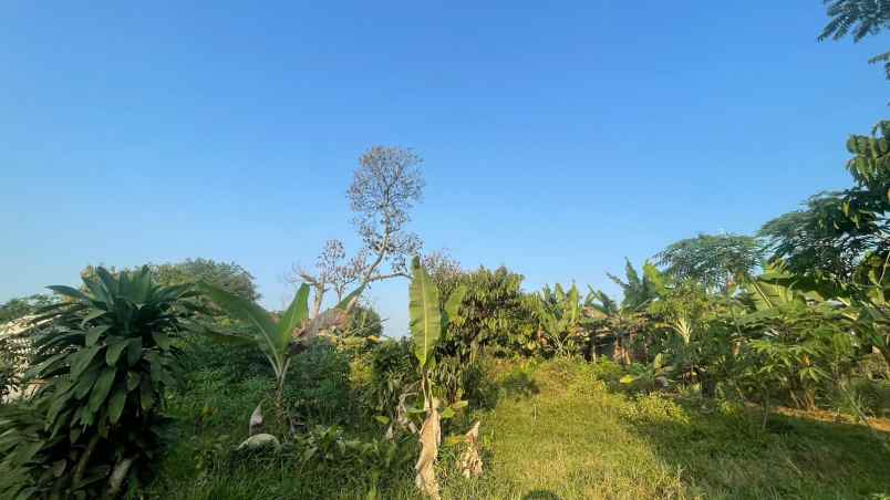 dijual tanah bojong