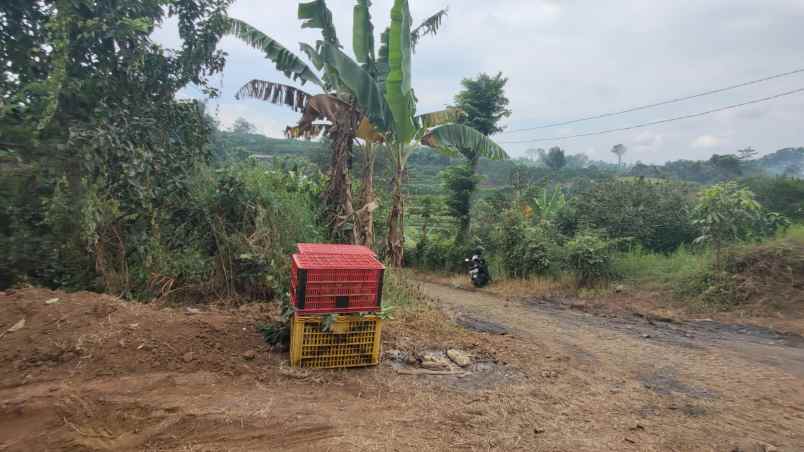 dijual tanah bukit jengkoang