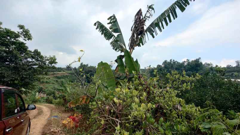 dijual tanah bukit jengkoang