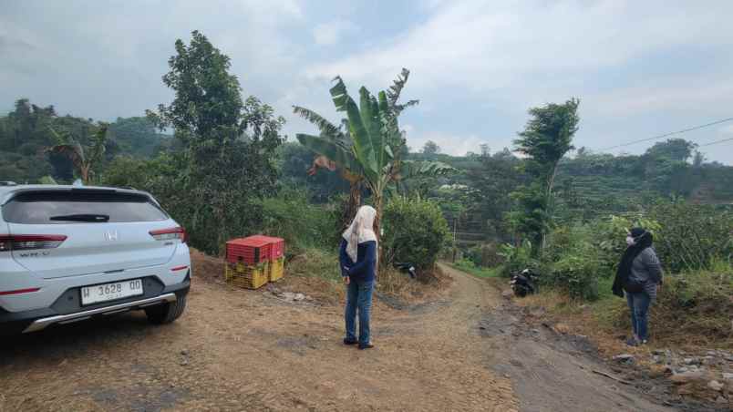 dijual tanah bukit jengkoang