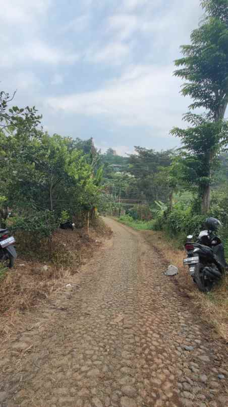 dijual tanah bukit jengkoang