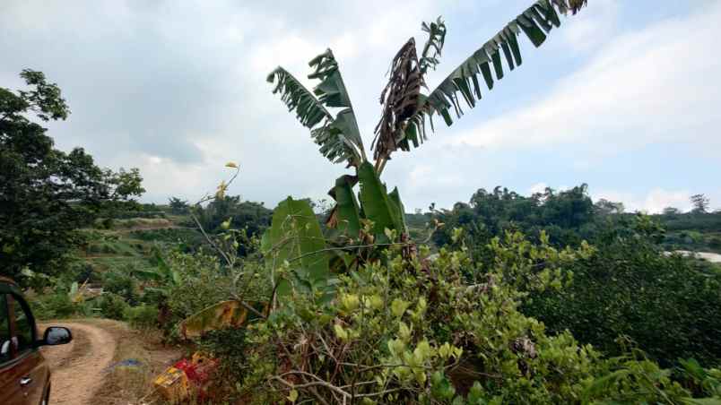 dijual tanah bukit jengkoang