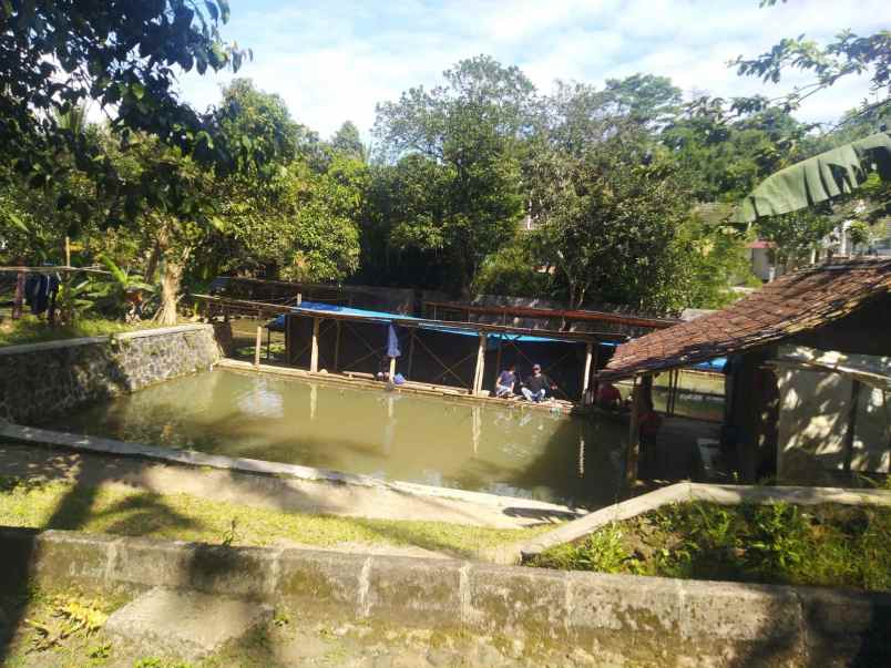 dijual tanah cijeruk bogor jawa barat