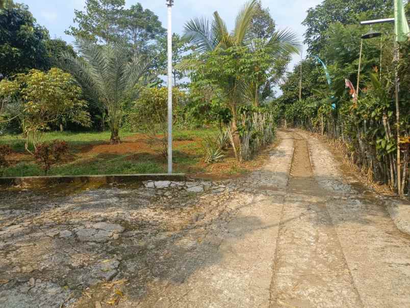 dijual tanah ciracas kiarapedes