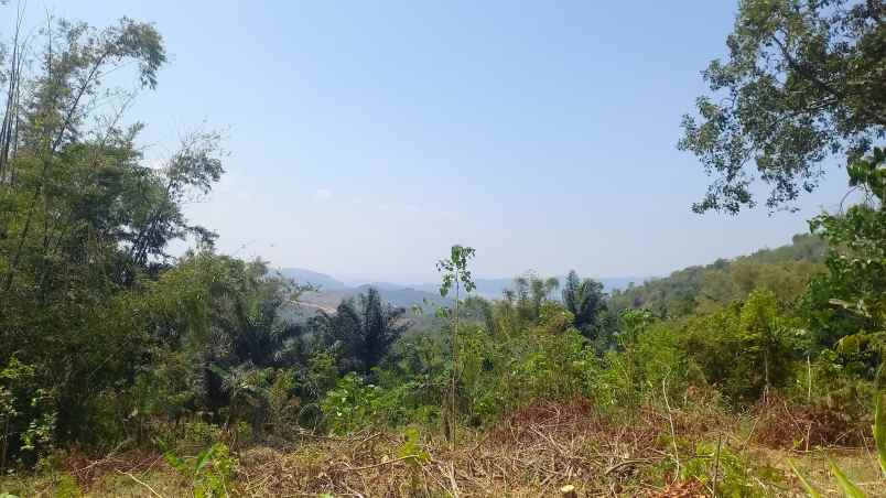 dijual tanah cisitu