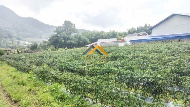 dijual tanah daerah berastagi jalan