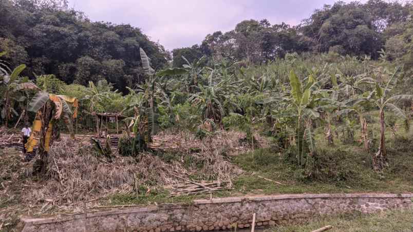 dijual tanah darngdan