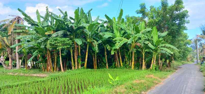 dijual tanah dekat komaneka keramas gianyar bali