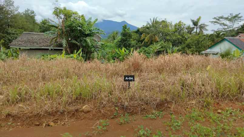 dijual tanah desa bantar kuning cariu bogor