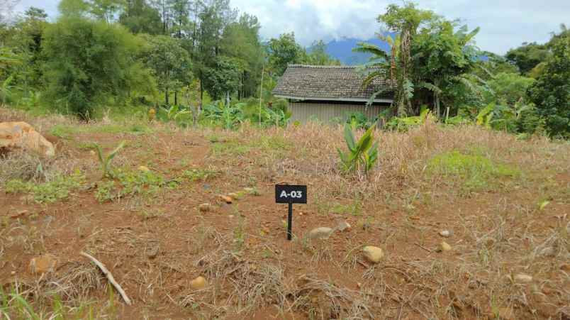 dijual tanah desa bantar kuning cariu bogor