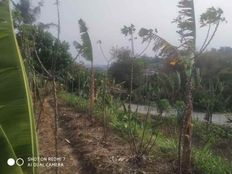 dijual tanah desa cilame kecamatan