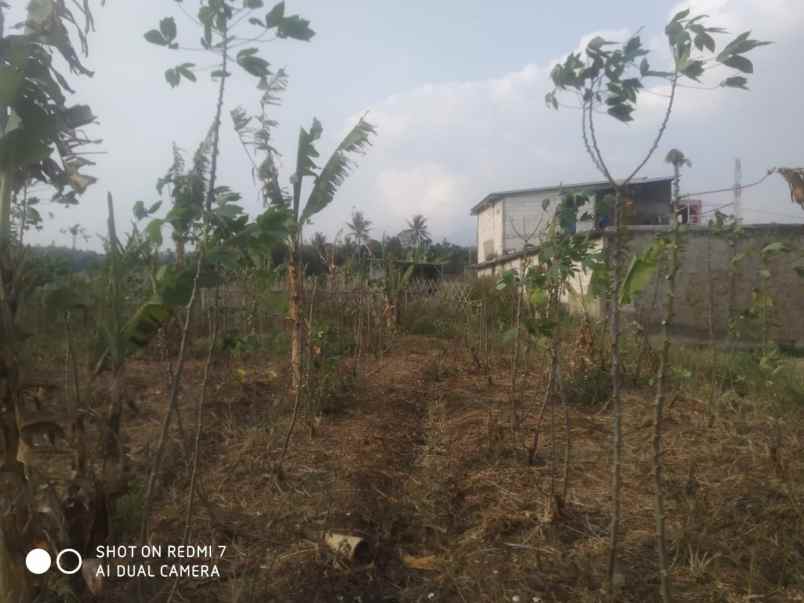 dijual tanah desa cilame kecamatan