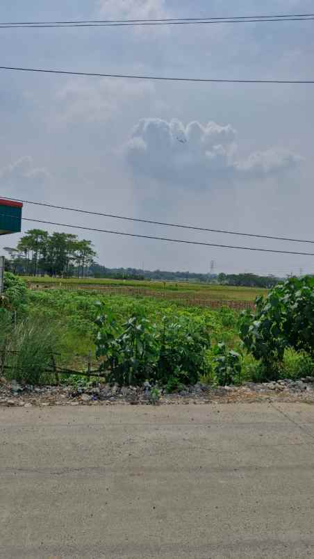 dijual tanah desa cilangkara rt 07 rw