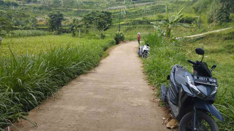 dijual tanah desa paku haji kecamatan