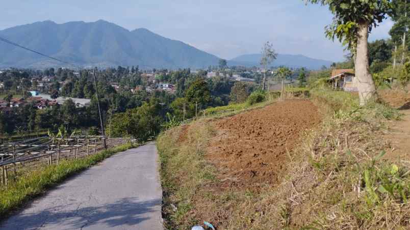 dijual tanah desa pasirhalang kecamatan