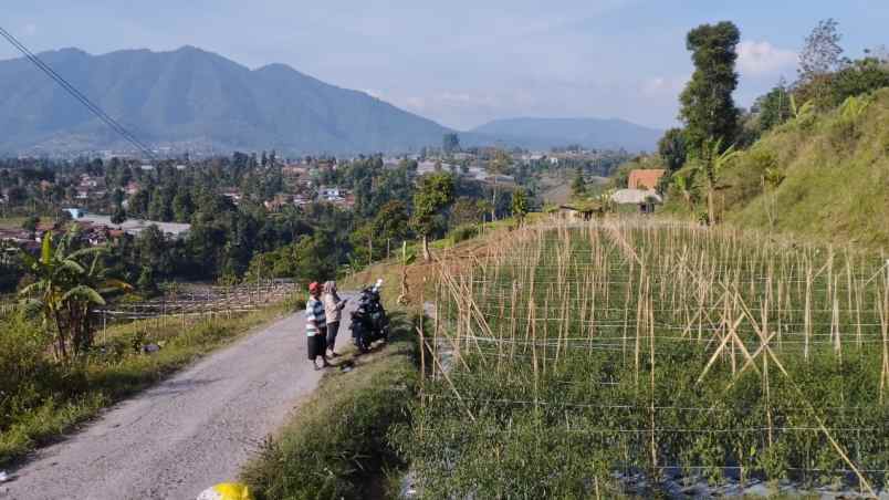 dijual tanah desa pasirhalang kecamatan