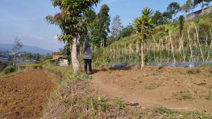 dijual tanah desa pasirhalang kecamatan