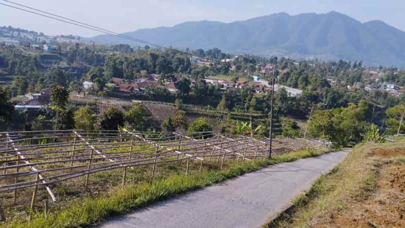 dijual tanah desa pasirhalang kecamatan