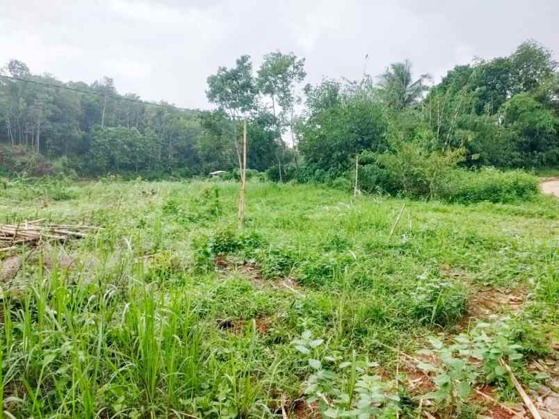 dijual tanah desa tegal wangi kec