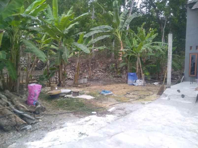 dijual tanah dijual tanah di jitengan