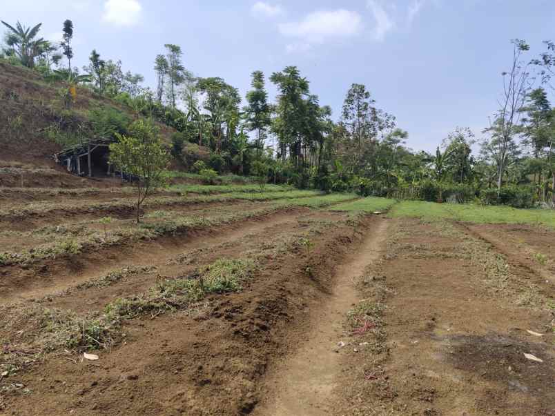 dijual tanah dusun sabrang bendo giripurno