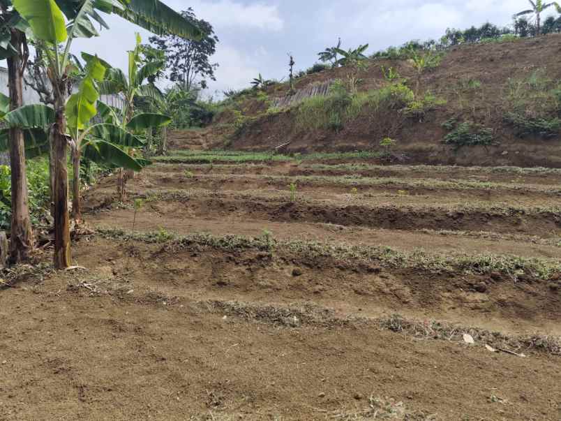 dijual tanah dusun sabrang bendo giripurno