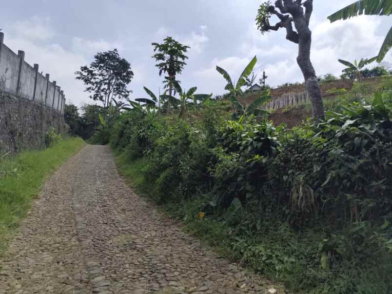 dijual tanah dusun sabrang bendo giripurno