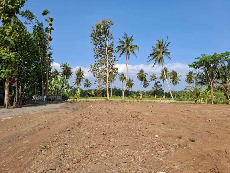 dijual tanah gedongan sumberagung